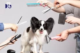 grooming